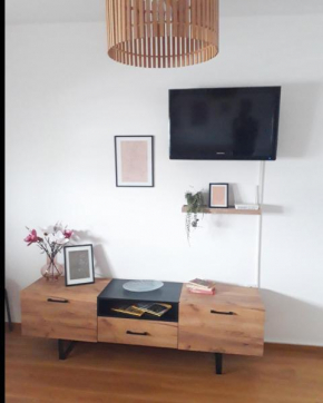 Studio apartman Promenada
